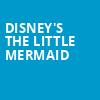 Disneys The Little Mermaid, Savannah Childrens Theatre, Savannah